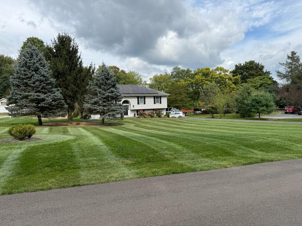 LAWN CARE